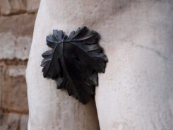 {{brizy_dc_image_alt entityId=