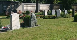 DSC_1924.JPG