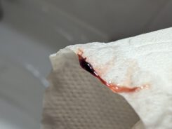 {{brizy_dc_image_alt entityId=